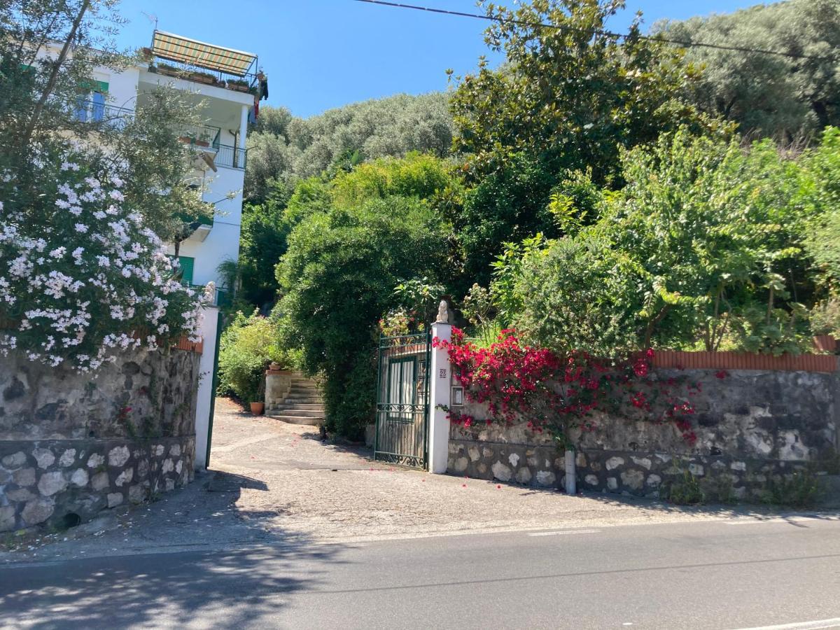 La Terrazza Lägenhet Vico Equense Exteriör bild